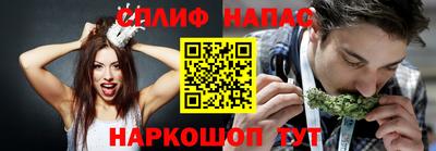 прущие грибы Ливны
