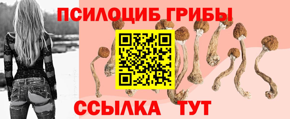 Псилоцибиновые грибы мицелий Шали