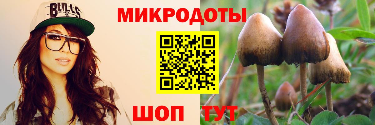 Галлюциногенные грибы Magic Shrooms  Вход с VPN  Псилоцибиновые грибы GOLDEN TEACHER  Шали 